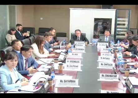 CEDAW delegate meeting