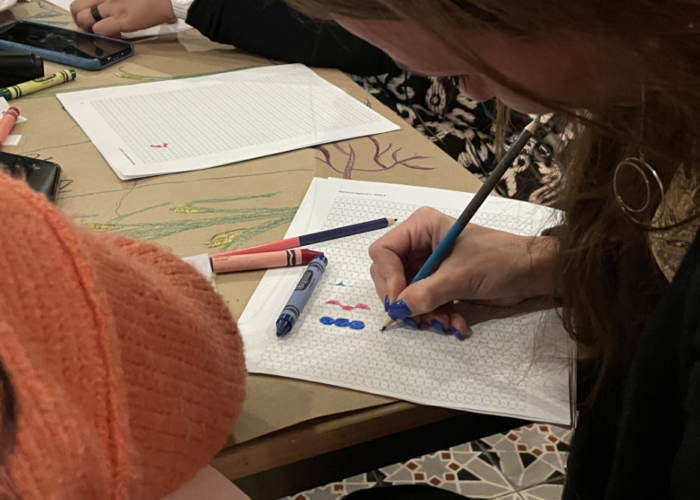 Numun work session group