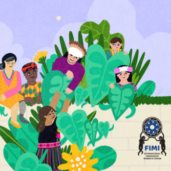 FIMI CEDAW Handbook Cover Art
