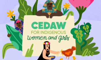 CEDAW Initiative Graphic Illustration