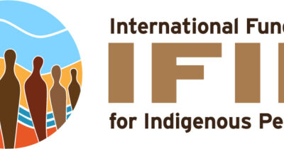 IFIP Logo