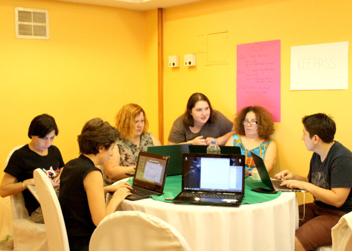 Digital Security Training Session for Women in Georgia
