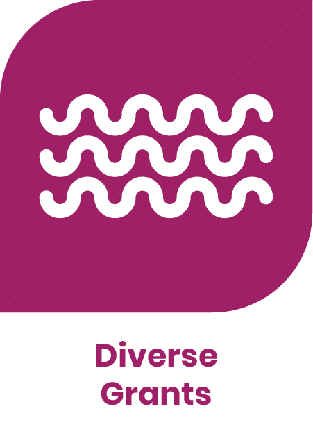 Diverse Grants Focus Area Icon