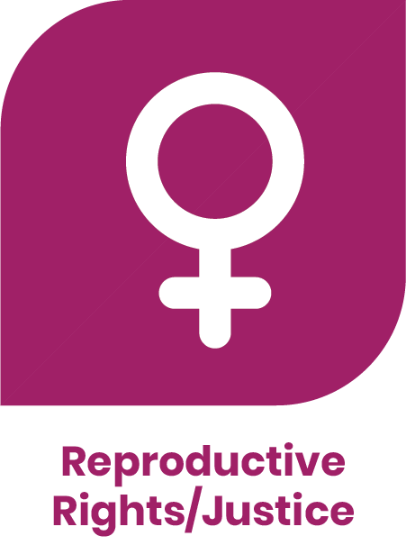 Securing Sexual & Reproductive Rights/Justice Focus Area Icon