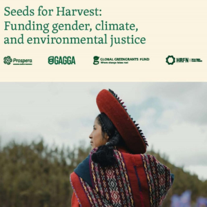 Global Greengrants News Cover Image